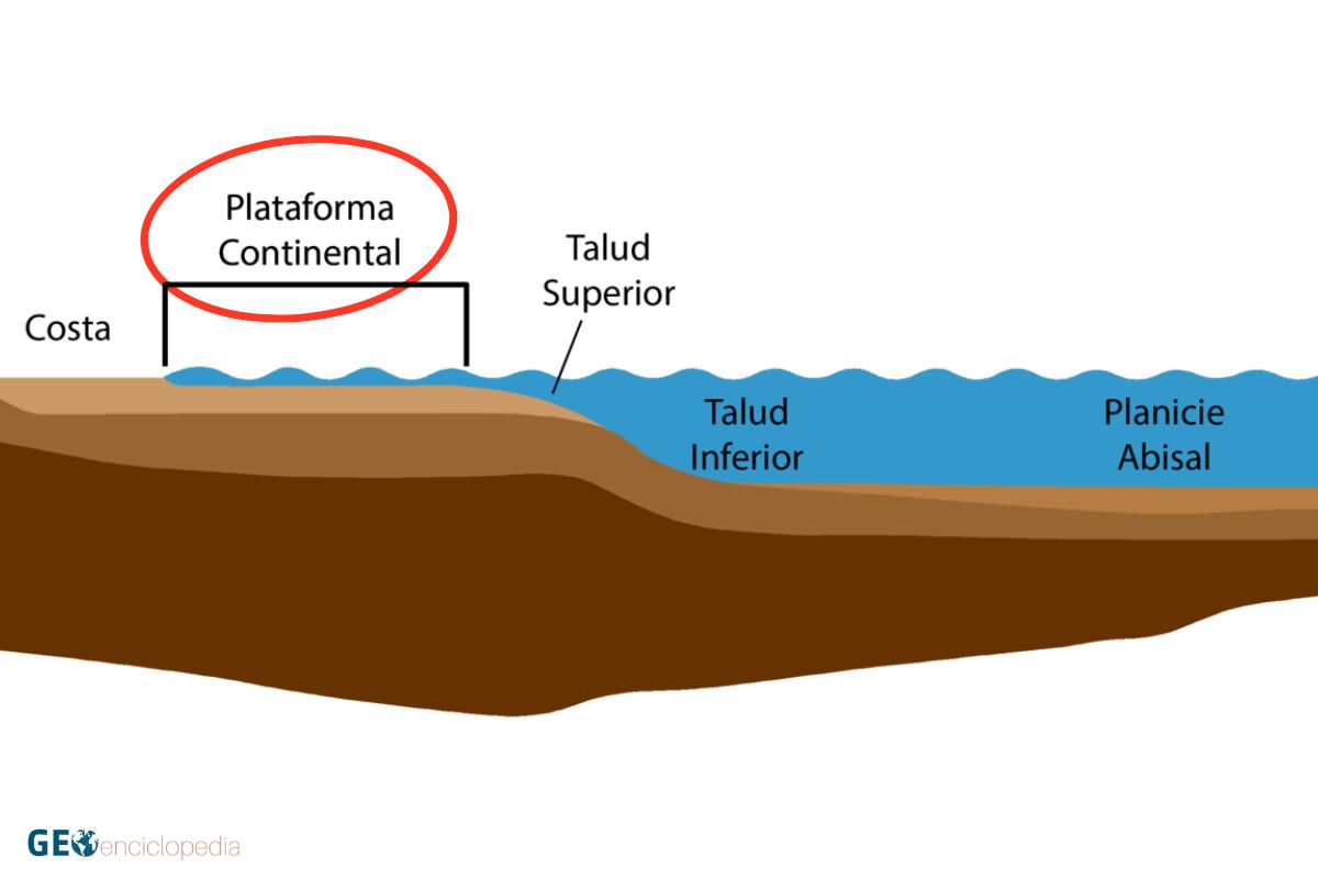 Relieve oceánico qué es características y estructura Resumen