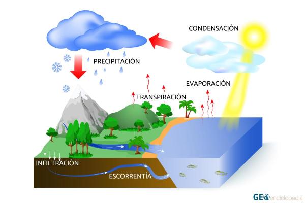 Ciclos biogeoquímicos: qué son, cuáles son e importancia - Ciclo del agua o ciclo hidrológico