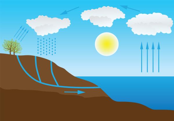 Ciclo del agua: qué es, etapas e importancia - Qué es el ciclo del agua