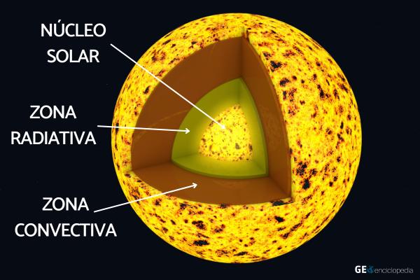 Capas del sol: nombres, características y función - Zona radiativa 