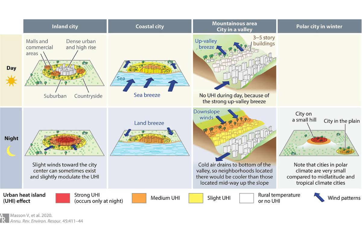 Isla de calor: qué es, características, causas, consecuencias y ...