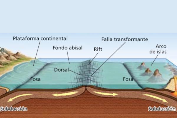 Ciclo de Wilson: qué es y etapas - Estado avanzado del rift continental