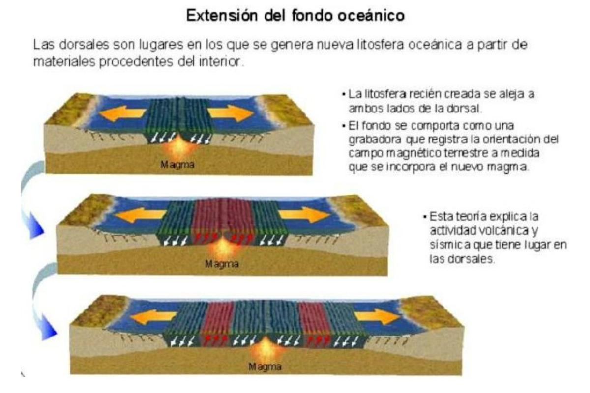 Qué son las dorsales oceánicas y cómo se forman Resumen Qué son las dorsales oceánicas y cómo se forman Resumen