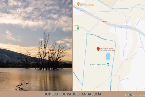 Humedales de España: mapa, nombres, animales y su importancia - Humedal de Padul