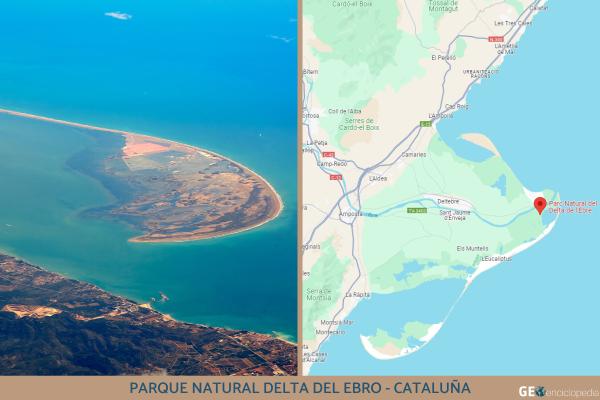 Humedales de España: mapa, nombres, animales y su importancia - Parque Natural Delta del Ebro