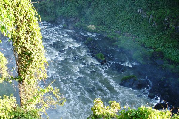 Ríos más importantes de México - Río Papaloapan