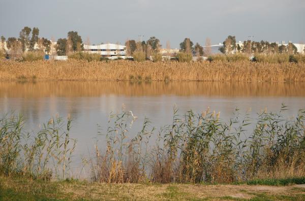 Río Llobregat - Datos del río Llobregat