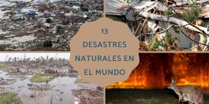 Desastres naturales en el mundo