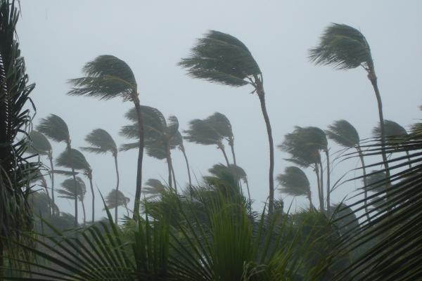 Ciclón tropical o tormenta tropical: qué es y cómo se forma - Clasificación de los ciclones tropicales