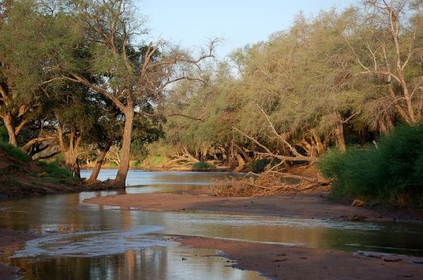 Río Limpopo - Importancia del río Limpopo