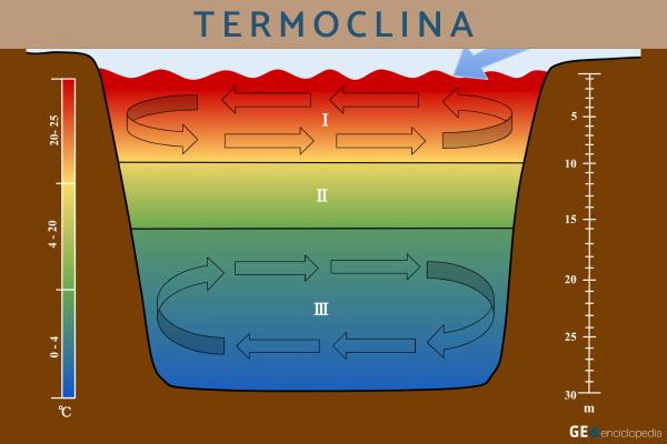 Termoclina: qué es, tipos y cómo se forma - Qué es la termoclina