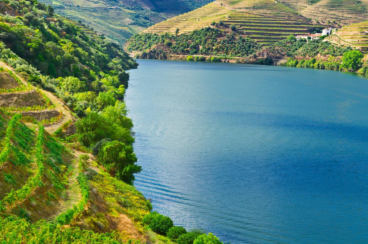 Río Duero - Características, historia, flora y fauna