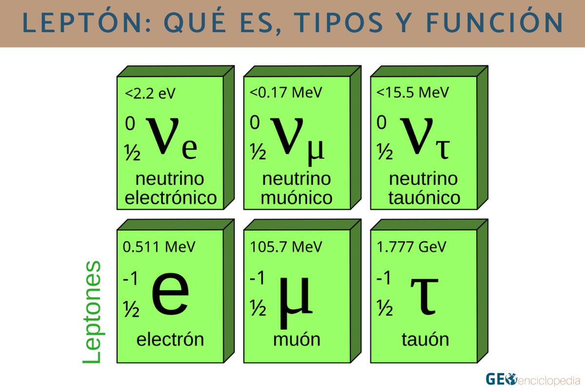 Leptón: qué es tipos y función Resumen