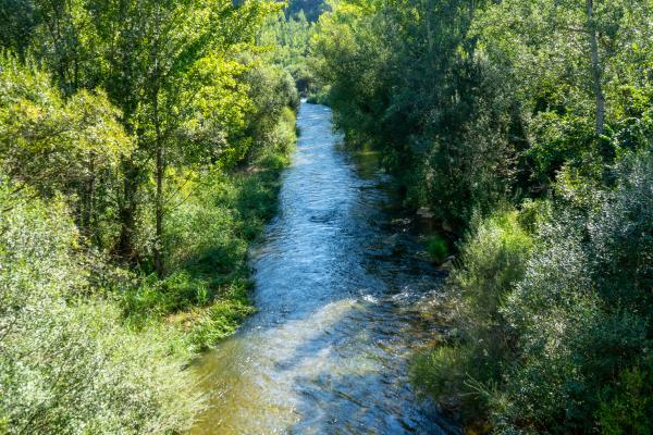 Ríos de Valencia - Río Mijares