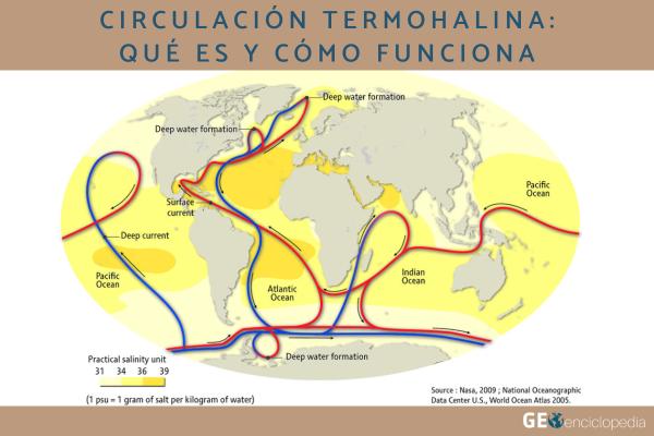 Circulación termohalina: qué es y cómo funciona