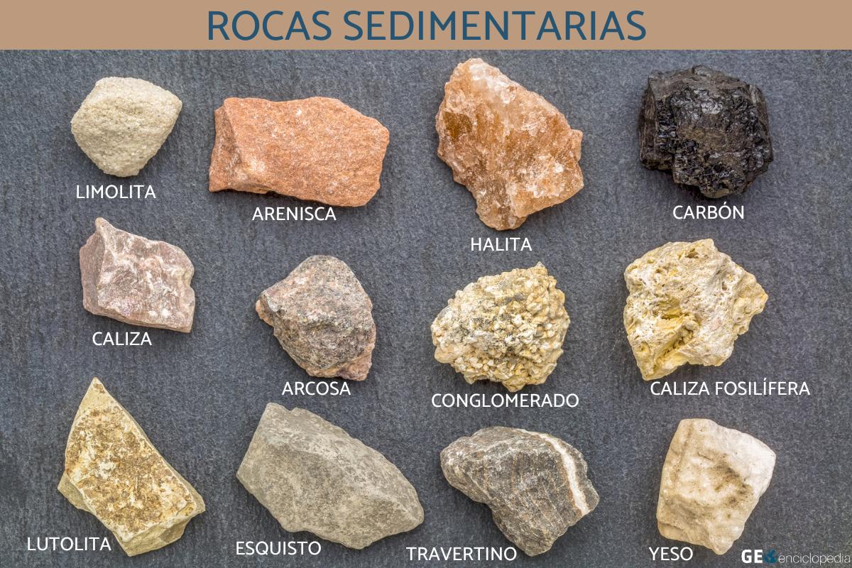 Rocas Sedimentarias Caracter Sticas Y Tipos Curiosfera Ciencia Form 