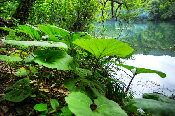 Clima chino: qué es, localización y características - Características del clima chino