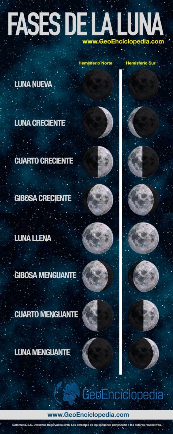 Infografía Fases de la Luna