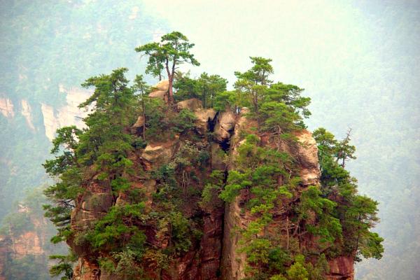 Montaña Tianzi - Características de la montaña Tianzi