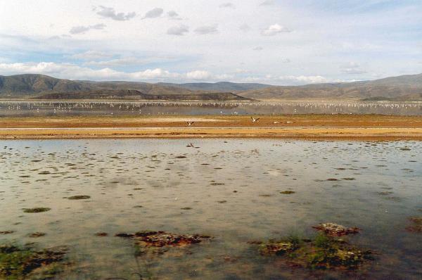 Lago Poopó - Características del lago Poopó