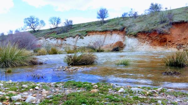 Ríos de Madrid - Río Jarama