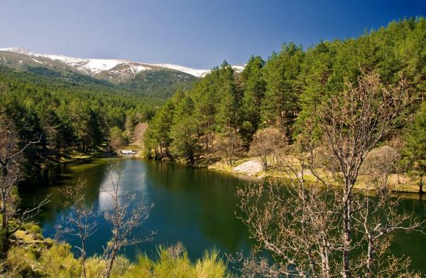 Ríos de Madrid - Río Lozoya