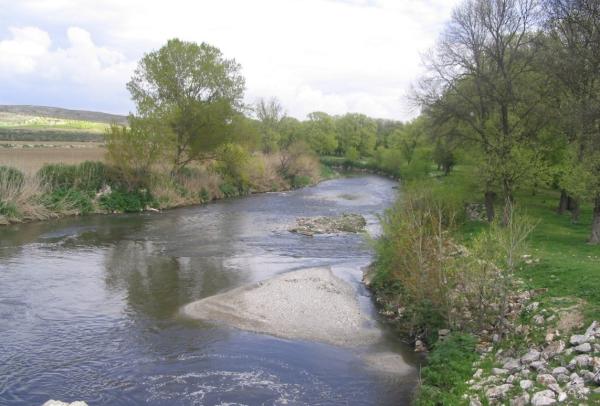 Ríos de Madrid - Río Perales