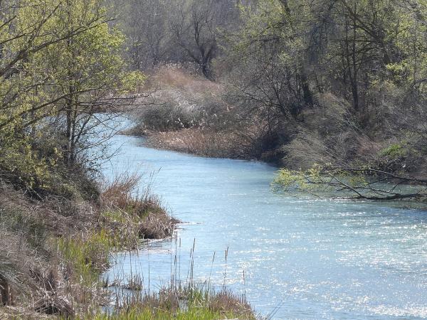 Ríos de Madrid - Río Tajo