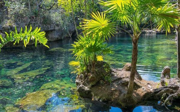 Areas Naturales Protegidas de México